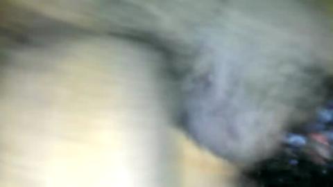 18534