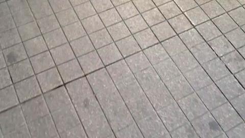 7347