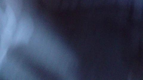 8291
